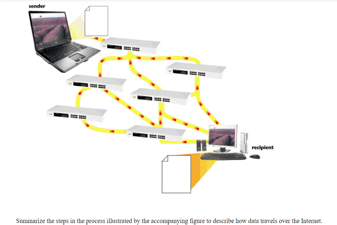 Solved Summarize the steps in the process illustrated by the | Chegg.com