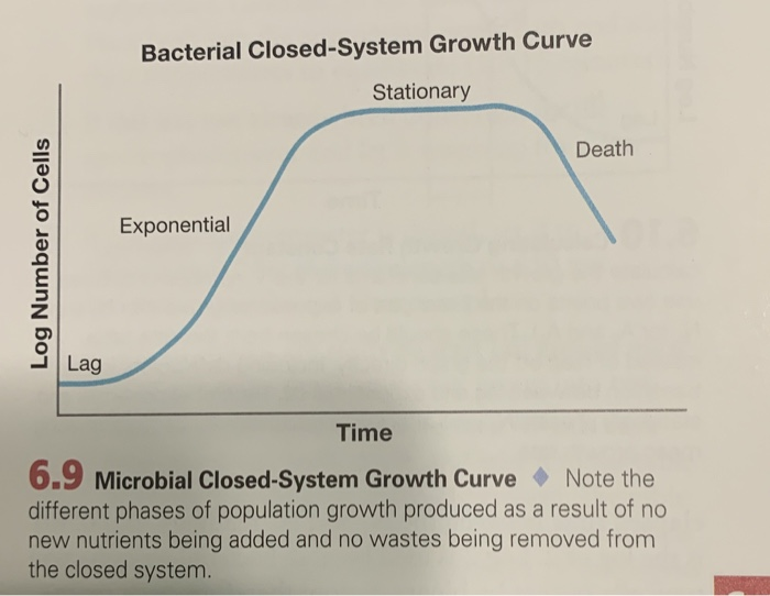 Solved Examine the microbial growth curve in figure 6.9. In | Chegg.com