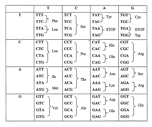 Solved Which of the following amino acid changes could | Chegg.com