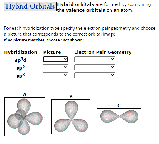 Solved Hybrid orbitals are formed by combining the valence | Chegg.com