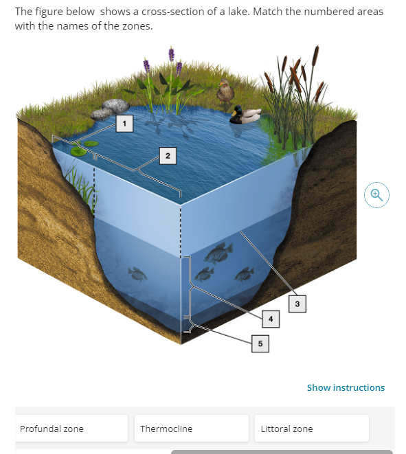 Solved The figure below shows a crosssection of a lake.