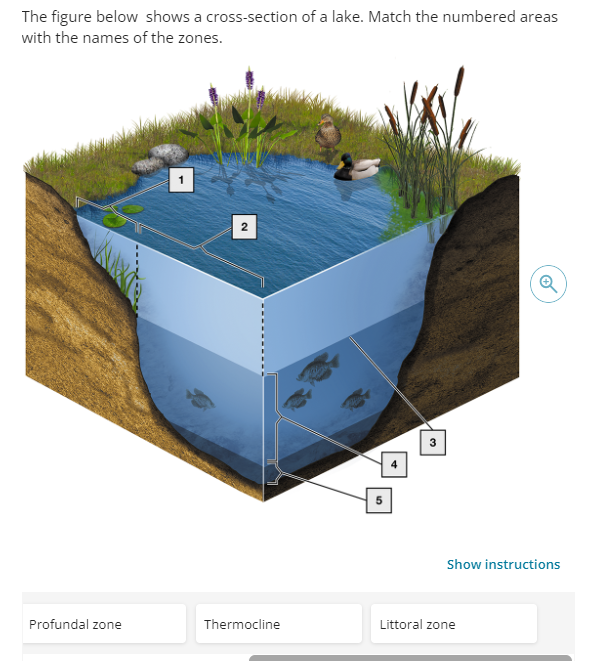 Solved The figure below shows a cross-section of a lake. | Chegg.com