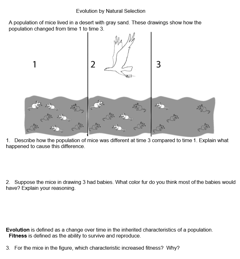 Solved Evolution by Natural Selection A population of mice | Chegg.com