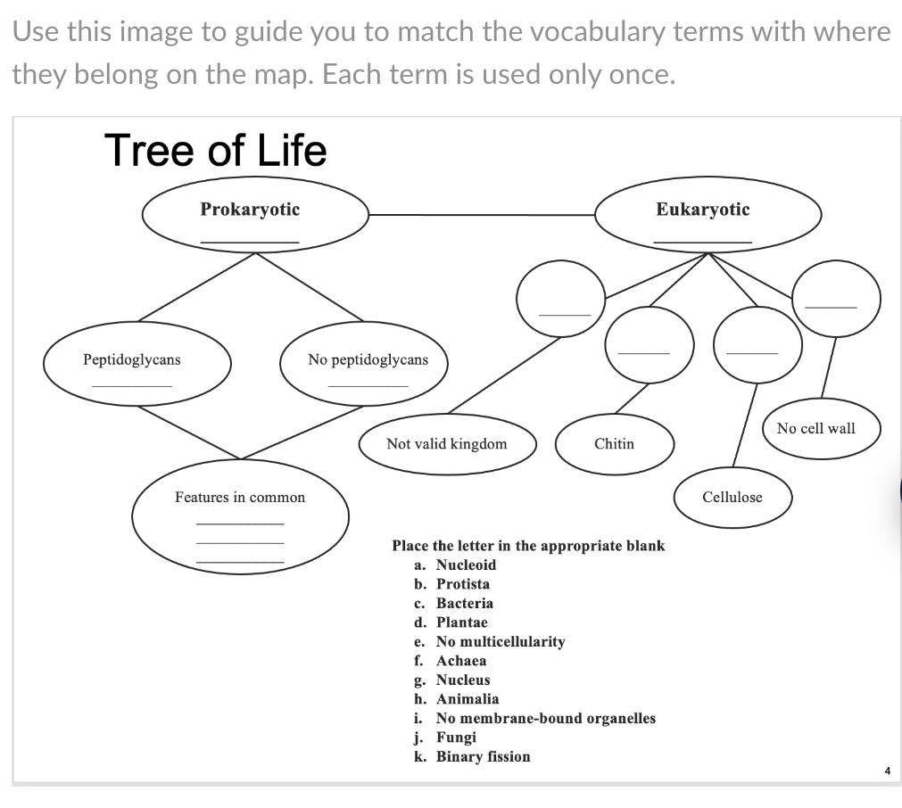 Solved Use this image to guide you to match the vocabulary | Chegg.com