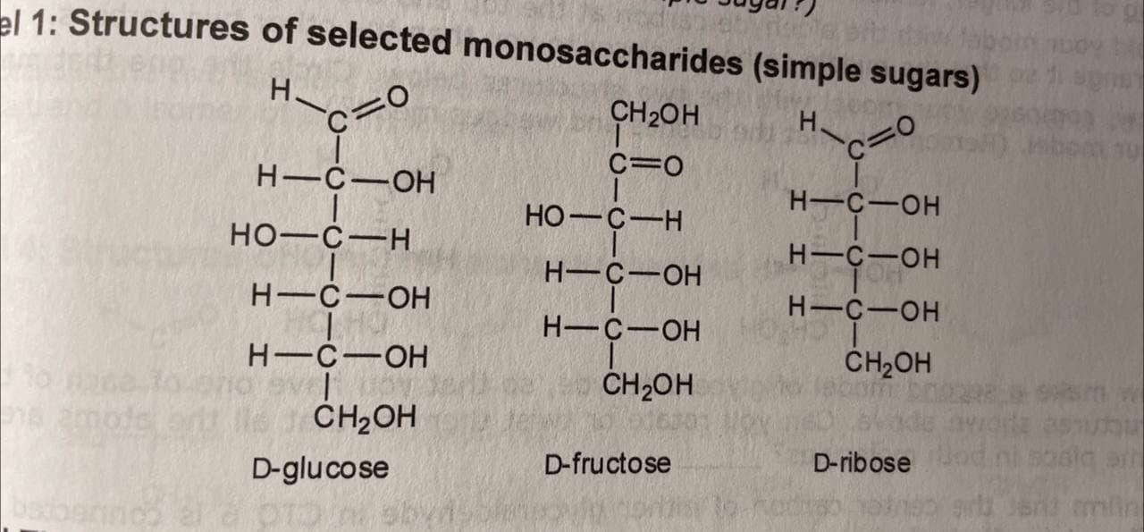 Solved Simple sugars are given the ending ose. This can be