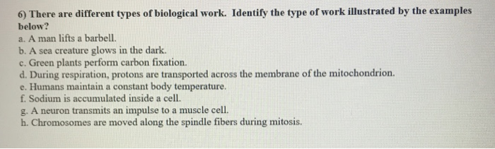 Solved 6) There are different types of biological work. | Chegg.com