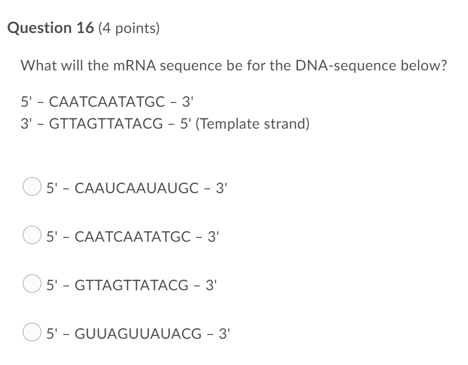 Solved Question 16 (4 points) What will the mRNA sequence be | Chegg.com