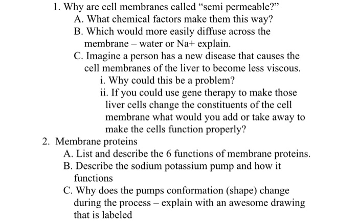 solved-1-why-are-cell-membranes-called-semi-permeable-a-chegg