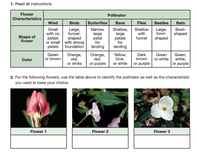 what are petals used for