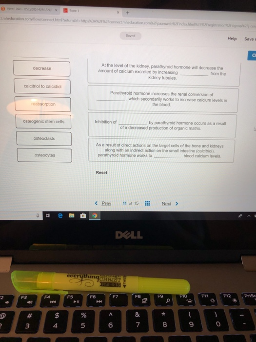 Solved Help When levels of blood calcium calcidiol to | Chegg.com
