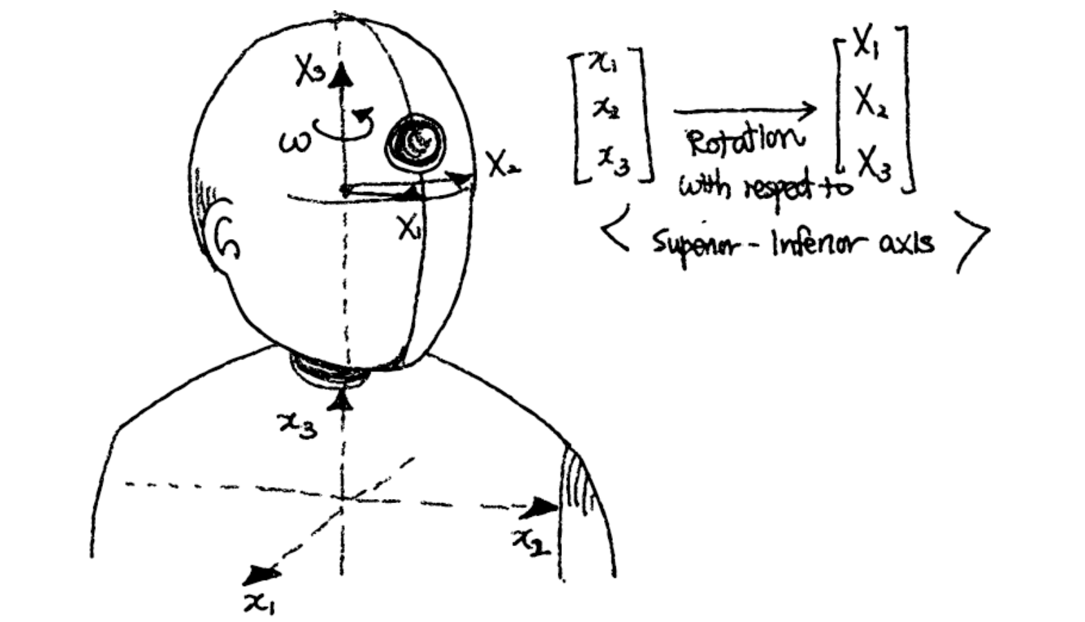 Solved (a) You need to make sure that the reference frame on | Chegg.com