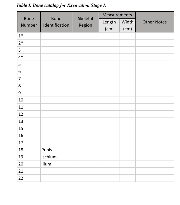 Solved Identify and Catalog the Bones: use the Excel table | Chegg.com