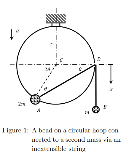 Solved A first bead of mass 2m slides on a circular hoop of | Chegg.com