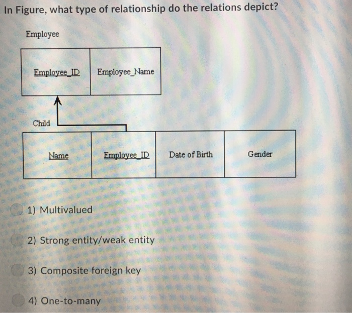 solved-which-of-the-following-types-of-data-can-be-stored-in-chegg