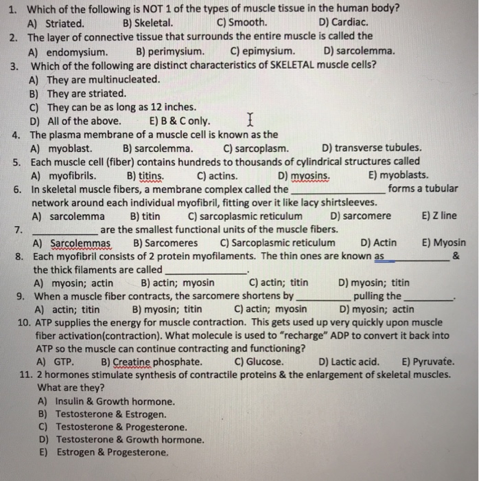 Solved Which of the following is NOT 1 of the types of | Chegg.com