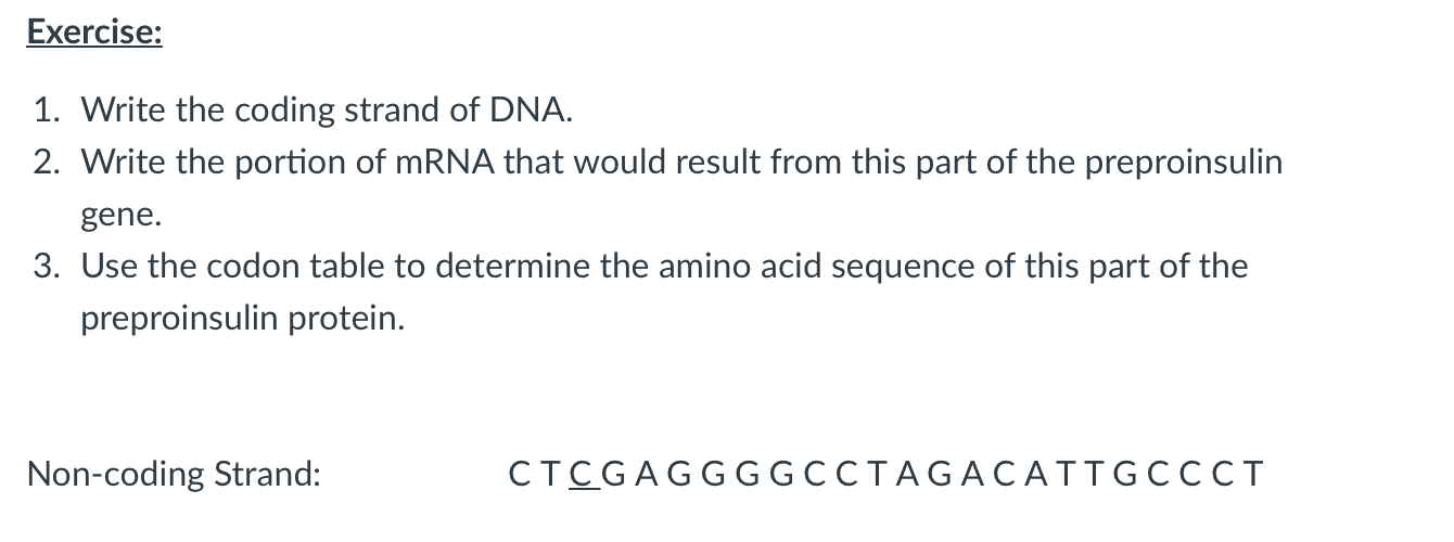 Solved Exercise: 1. Write the coding strand of DNA. 2. Write | Chegg.com