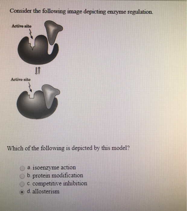 Solved Which of the following can cause enzyme activity to | Chegg.com