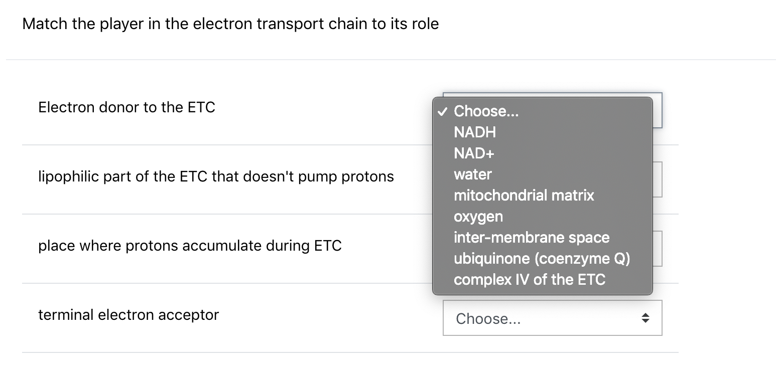 Solved Match the player in the electron transport chain to | Chegg.com