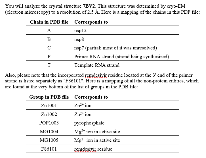 Examine the magnesium ion closest to the remdesivir