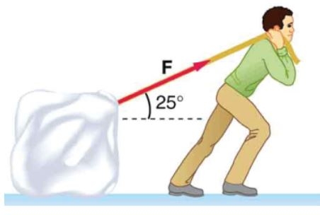 25 A Contestant In A Winter Sporting Event Chegg 