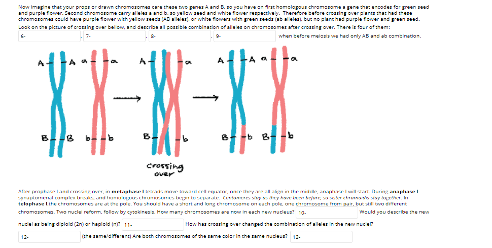 Solved Meiosis takes place in all organisms that reproduce Solved Meiosis takes place in all organisms that reproduce