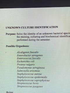 Solved How do I make a dichotomous key to with all of these | Chegg.com