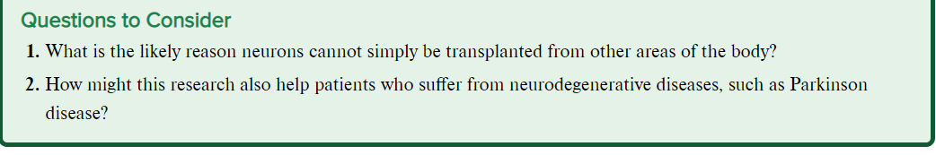 Solved Nerve Regeneration and Stem Cells In humans, axons | Chegg.com