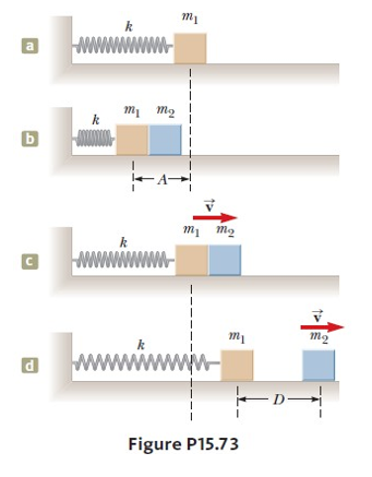 Solved (p463) An object of mass m1 is in equilibrium when | Chegg.com