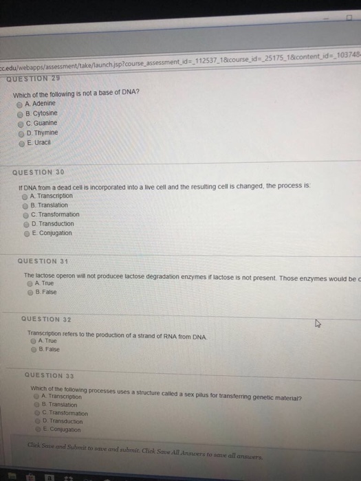 Solved c.edu/webapps/assessment/take/launch.jsp?course | Chegg.com