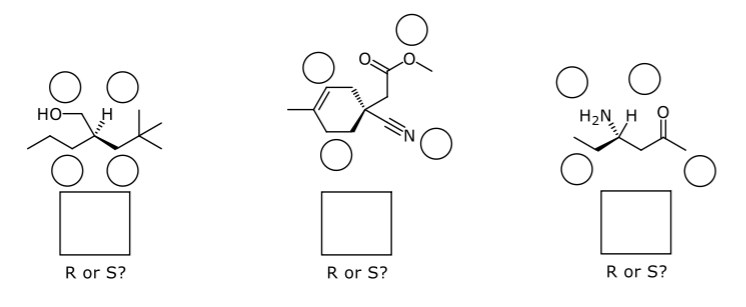 Solved Assign each chiral center as R or S. 6. Write the | Chegg.com