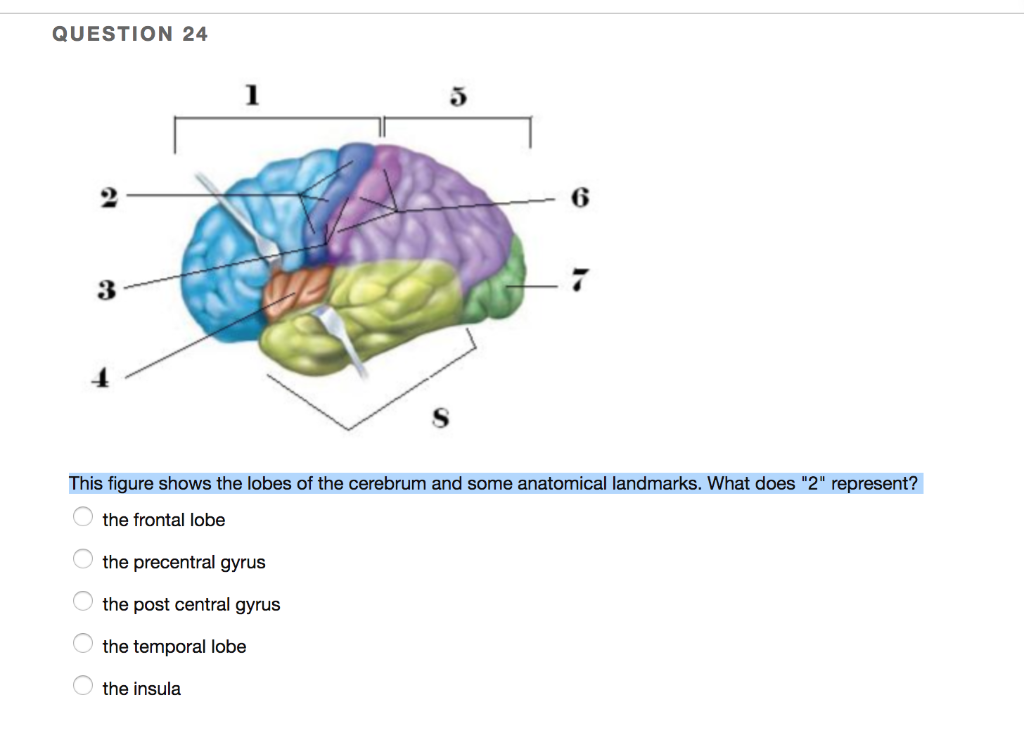 solved-question-22-10-2-9-3-8-4-7-5-6-this-figure-shows-the-chegg