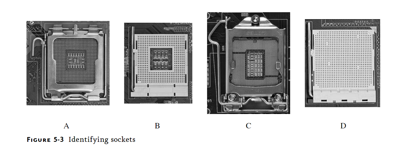 Solved Step 1 Identify and describe the different socket | Chegg.com