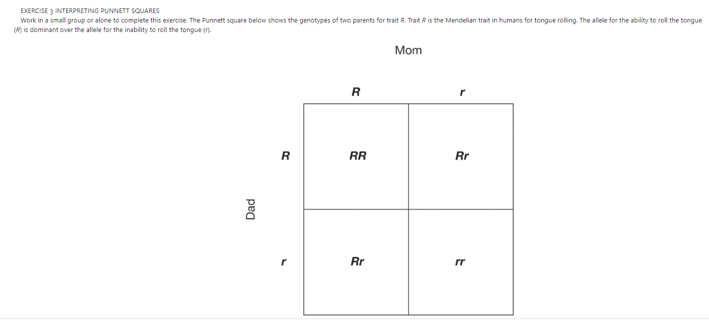 Solved Exercise 3 Interpreting Punnett Squares Work In A 1195