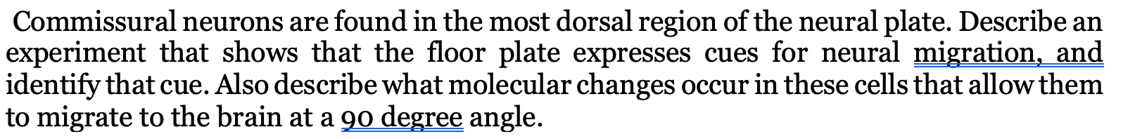 Solved Commissural neurons are found in the most dorsal | Chegg.com