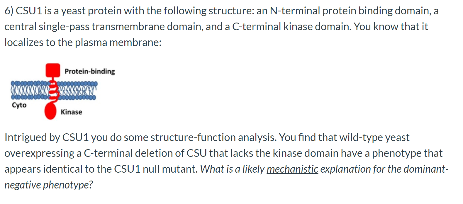 Type I Csu Solved 6) CSU1 is a yeast protein with the following | Chegg.com