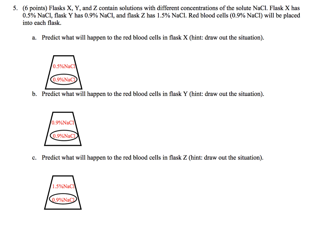 Solved 5. (6 points) Flasks X, Y, and Z contain solutions
