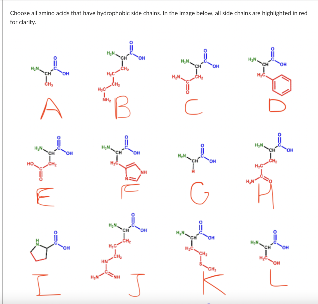 Solved Choose all amino acids that have hydrophobic side