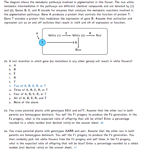 Solved You Cross Parental Plants With Genotypes AARR And Chegg