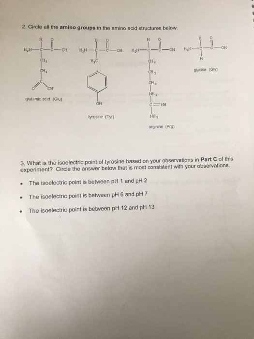 Solved PROTEINS Questions 1. Which amino acids used in this