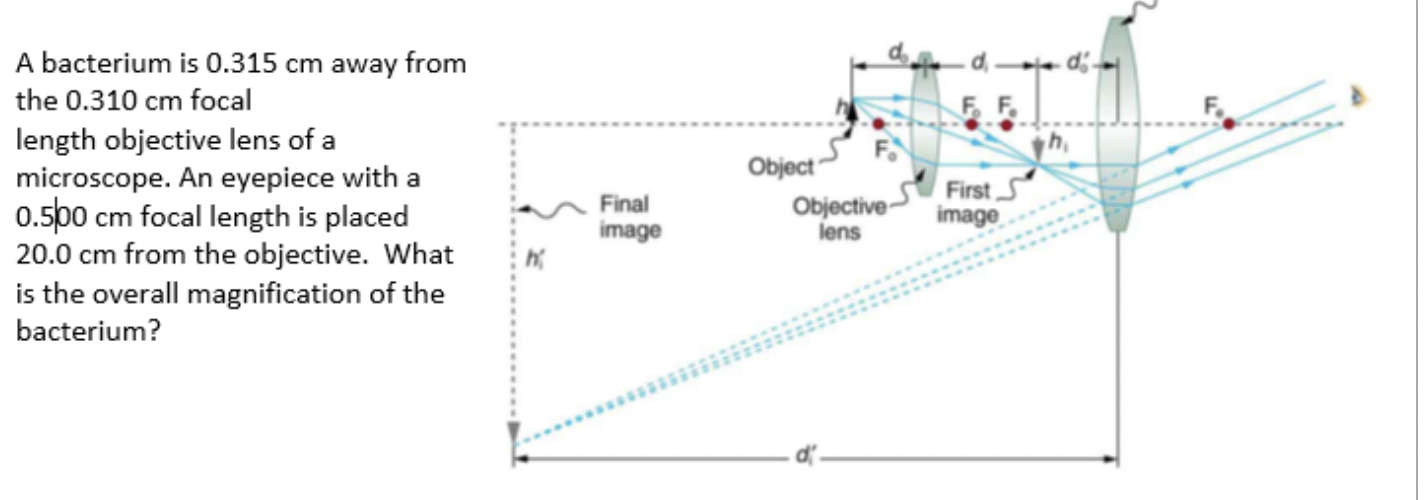 Solved A bacterium is 0.315 cm away from the 0.310 cm focal | Chegg.com
