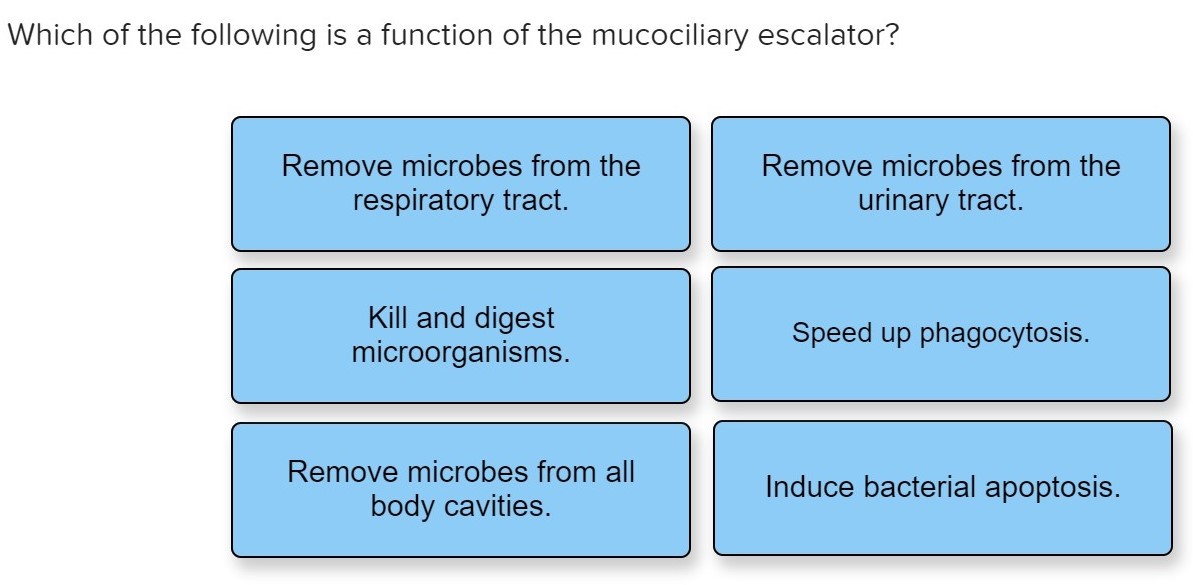Solved Which Of The Following Is A Function Of The Mucoci Chegg Com