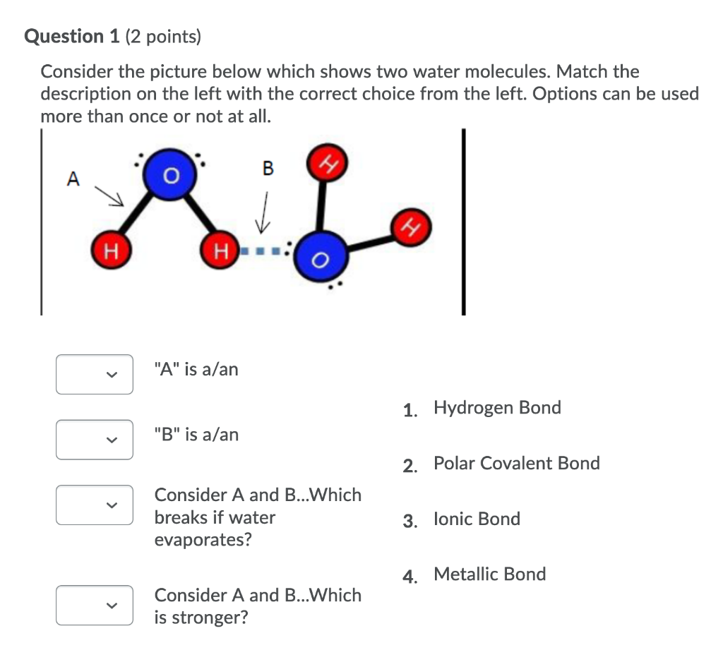 Solved Question 1 2 Points Consider The Picture Below W Chegg Com