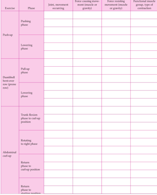 Solved Analyze each exercise in the chart. Use one row for | Chegg.com ...