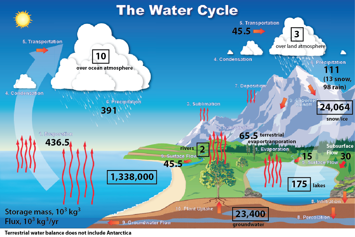 Solved Create a table that shows the reservoirs, fluxes and | Chegg.com