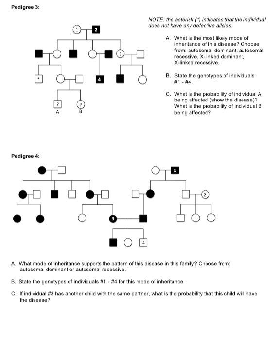 Solved Homework 7 - Pedigree Worksheet Complete all of the | Chegg.com