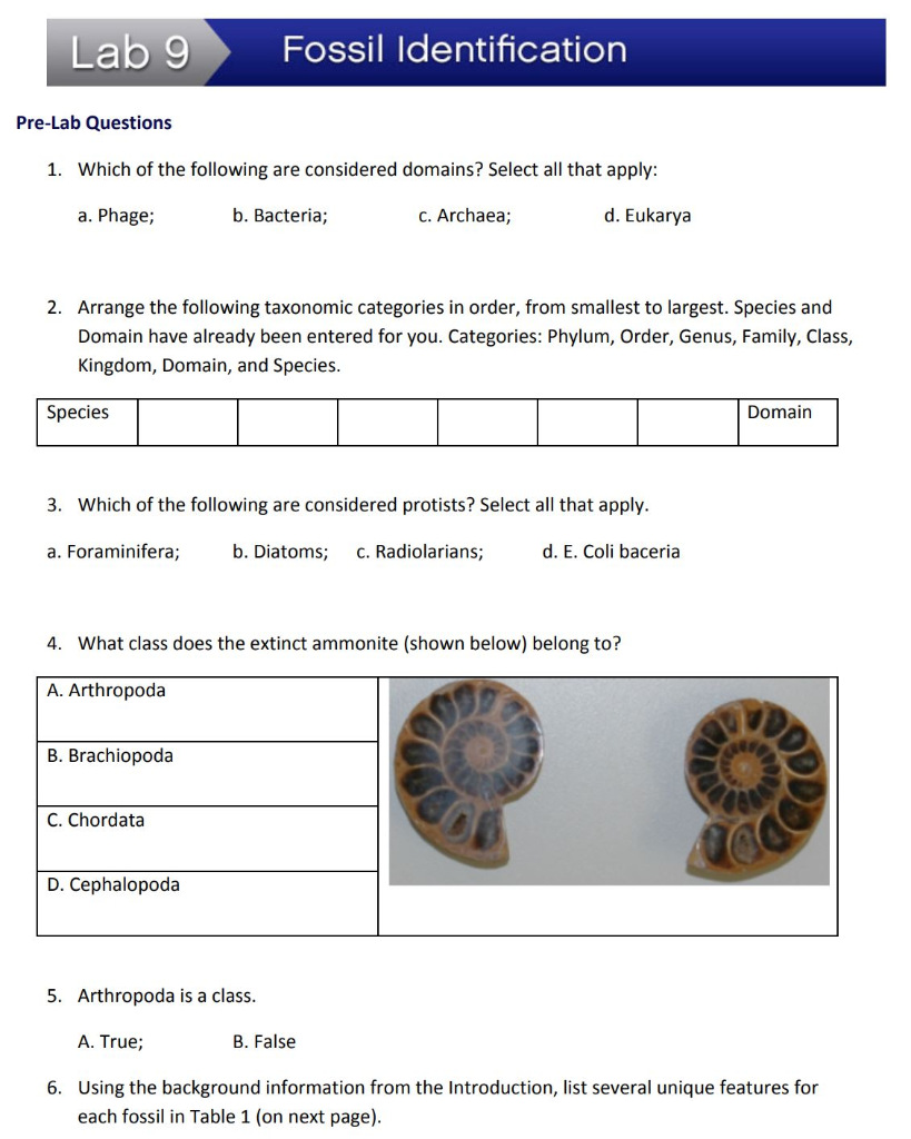 solved-lab-9-fossil-identification-experiment-1-fossil-chegg