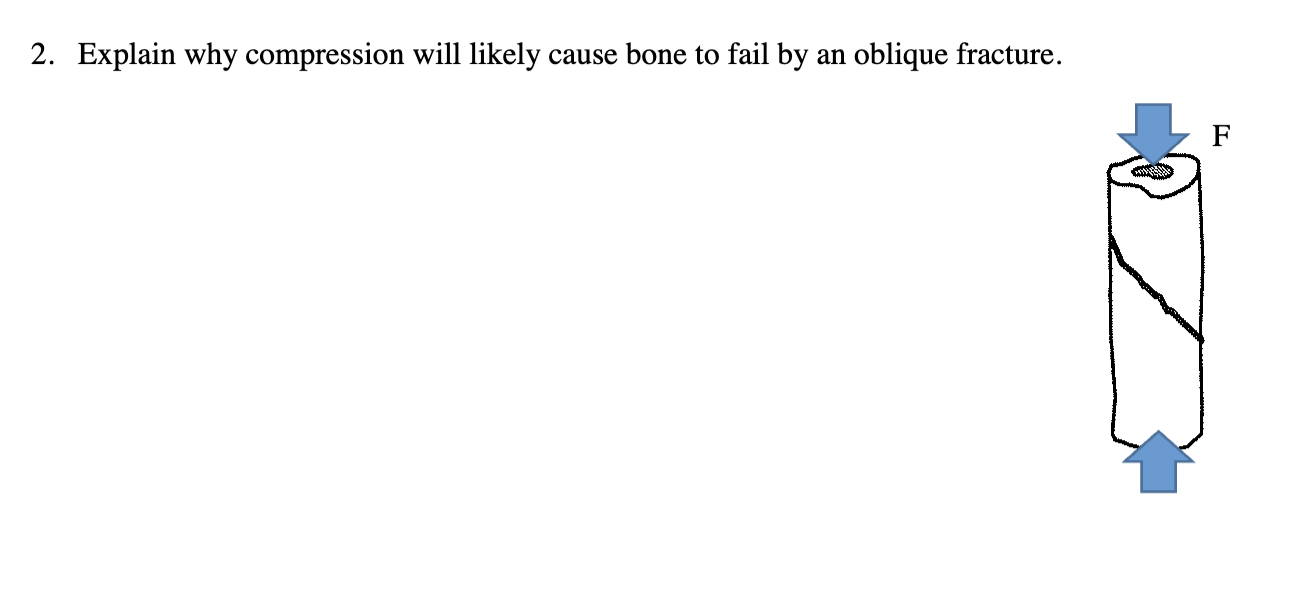 Solved 2. Explain why compression will likely cause bone to
