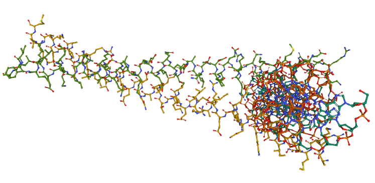The oncoproteins Fos and Jun form heterodimers | Chegg.com