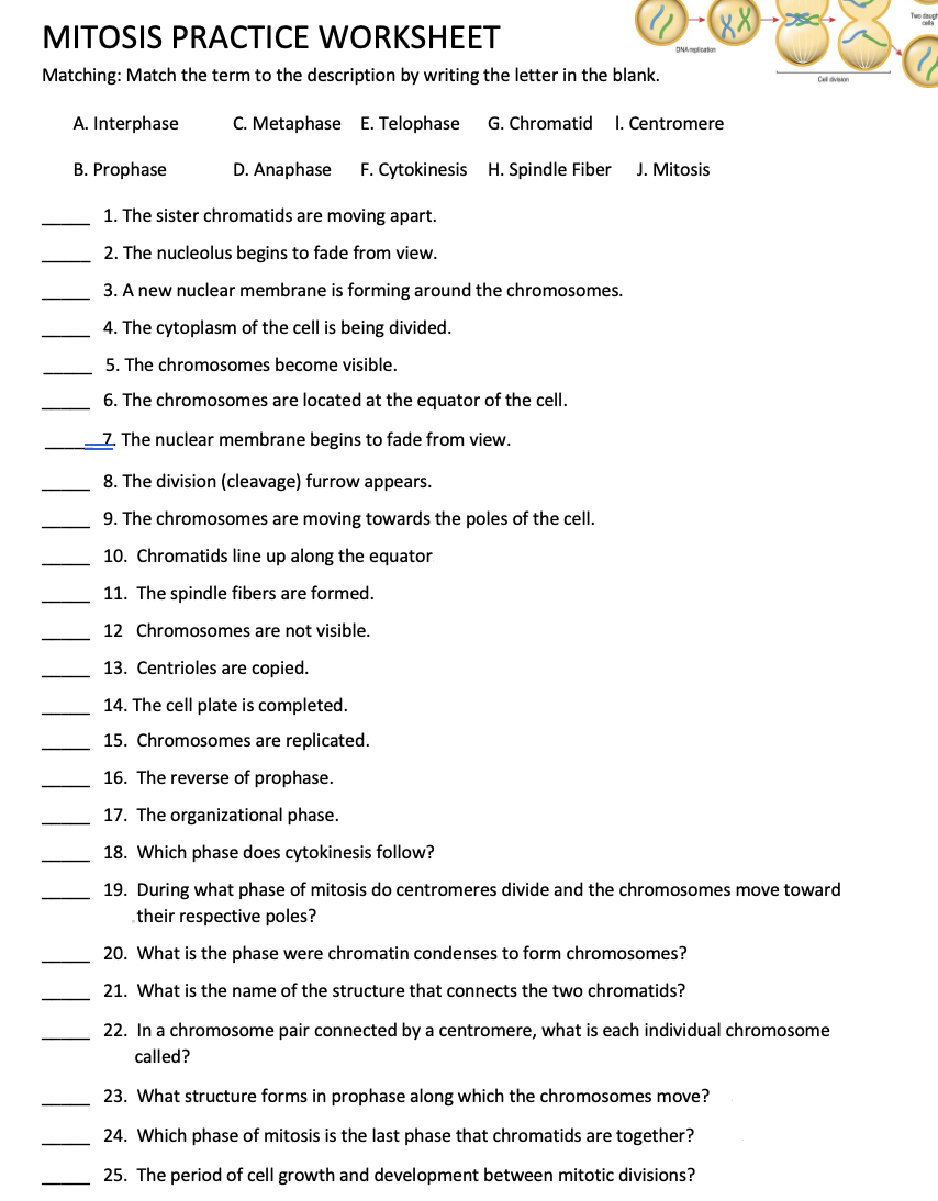 Matching Pairs interactive worksheet