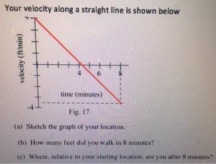 Solved Your velocity along a straight line is shown below | Chegg.com